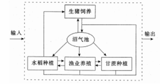 中学地理学科知识与教学能力,真题专项训练,高中地理专项训练,地理科学知识与运用