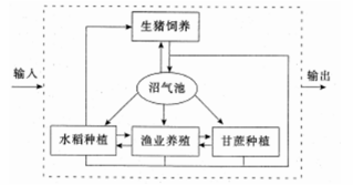 中学地理学科知识与教学能力,真题专项训练,高中地理专项训练,地理科学知识与运用