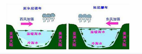 中学地理学科知识与教学能力,真题专项训练,高中地理专项训练,地理教学知识与运用