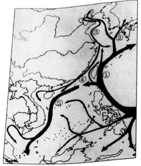 中学地理学科知识与教学能力,历年真题,2019上半年教师资格考试《地理学科知识与教学能力》高中真题试卷