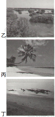 中学地理学科知识与教学能力,历年真题,2017下半年教师资格考试《地理学科知识与教学能力》高中真题试卷