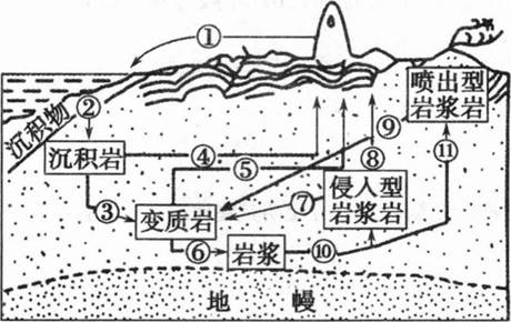 中学地理学科知识与教学能力,章节练习,基础复习,初级中学