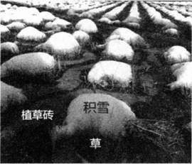 中学地理学科知识与教学能力,章节练习,基础复习,初级中学