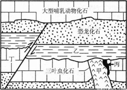 中学地理学科知识与教学能力,章节练习,基础复习,初级中学