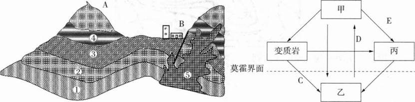 中学地理学科知识与教学能力,章节练习,基础复习,初级中学