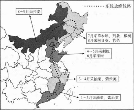 中学地理学科知识与教学能力,章节练习,基础复习,初级中学