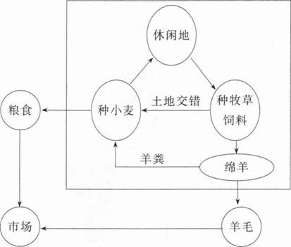 中学地理学科知识与教学能力,章节练习,基础复习,高级中学