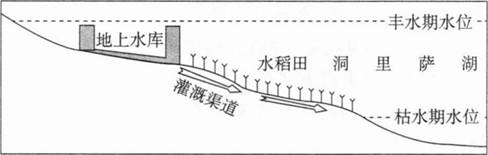 中学地理学科知识与教学能力,章节练习,基础复习,高级中学