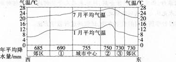 中学地理学科知识与教学能力,章节练习,基础复习,高级中学