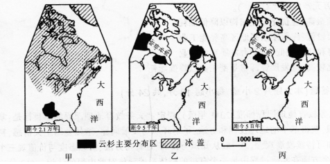 中学地理学科知识与教学能力,黑钻押题,2022年下半年教师资格《初中地理学科知识与教学能力》黑钻押题