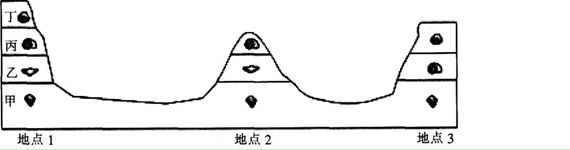 中学地理学科知识与教学能力,点睛提分卷,2021教师资格《地理学科知识与能力》初中点睛提分卷1