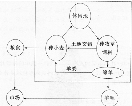 中学地理学科知识与教学能力,历年真题,2017上半年教师资格考试《地理学科知识与教学能力》初中真题试卷