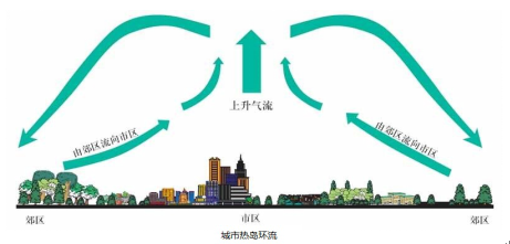 中学地理学科知识与教学能力,历年真题,2017上半年教师资格考试《地理学科知识与教学能力》高中真题试卷