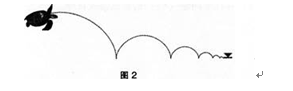 中学信息技术学科知识与教学能力,历年真题,教师资格证考试《信息技术学科知识与教学能力》（初级中学）真题