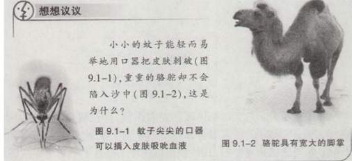 中学物理学科知识与教学能力,历年真题,2019上半年教师资格证考试《物理学科知识与教学能力》（初级中学）真题