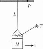 中学物理学科知识与教学能力,章节练习,基础复习,初级中学