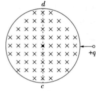 中学物理学科知识与教学能力,章节练习,基础复习,初级中学