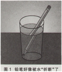 中学物理学科知识与教学能力,章节练习,基础复习,初级中学