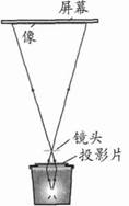 中学物理学科知识与教学能力,章节练习,基础复习,初级中学