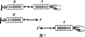 中学物理学科知识与教学能力,章节练习,基础复习,高级中学