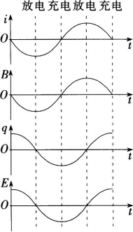 中学物理学科知识与教学能力,章节练习,基础复习,高级中学
