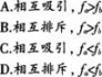 中学物理学科知识与教学能力,模拟考试,2021年教师资格证《物理学科知识与教学能力》（高级中学）模拟试卷2