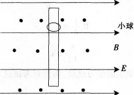 中学物理学科知识与教学能力,历年真题,2013上半年教师资格证《物理学科知识与教学能力》考试真题（高级中学）