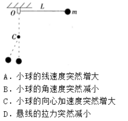 中学物理学科知识与教学能力,点睛提分卷,2021年教师资格证《物理学科知识与教学能力》（初级中学）点睛试卷3