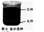 中学物理学科知识与教学能力,历年真题,2016上半年教师资格证考试《物理学科知识与教学能力》（初级中学）真题