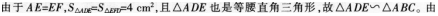 小学教师招聘,押题密卷,2021年教师招聘考试《小学数学》押题密卷5
