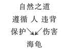 小学教师招聘,章节练习,学科章节