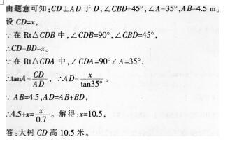 小学教师招聘,押题密卷,2021年教师招聘考试《小学数学》押题密卷3
