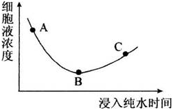 中学教师招聘,押题密卷,2021年教师招聘考试《中学生物》考前押题4