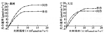 中学教师招聘,押题密卷,2021年教师招聘考试《中学生物》考前押题4