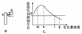 中学教师招聘,押题密卷,2021年教师招聘考试《中学生物》考前押题3