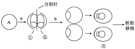 中学教师招聘,历年真题,2016年教师招聘考试《中学生物》真题精选1