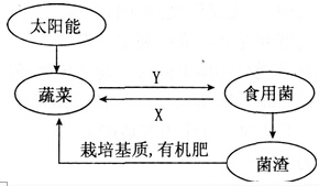 中学教师招聘,历年真题,2016年教师招聘考试《中学生物》真题精选1