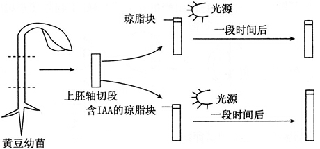 中学教师招聘,历年真题,2016年教师招聘考试《中学生物》真题精选1