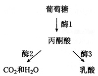 中学教师招聘,历年真题,2016年教师招聘考试《中学生物》真题精选1