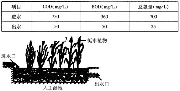 中学教师招聘,历年真题,2016年教师招聘考试《中学生物》真题精选1