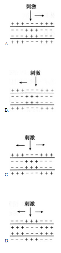 中学教师招聘,历年真题,2016年教师招聘考试《中学生物》真题精选2