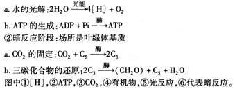 中学教师招聘,章节练习,学科真题0