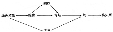 中学教师招聘,历年真题,2016年教师招聘考试《中学生物》真题精选2