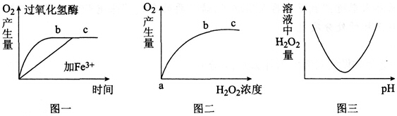 中学教师招聘,历年真题,2016年教师招聘考试《中学生物》真题精选3