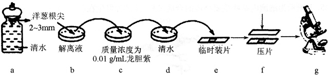 中学教师招聘,历年真题,2016年教师招聘考试《中学生物》真题精选3