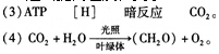 中学教师招聘,章节练习,学科真题0