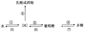 中学教师招聘,历年真题,2016年教师招聘考试《中学生物》真题精选1