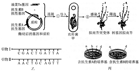 中学教师招聘,历年真题,2016年教师招聘考试《中学生物》真题精选1