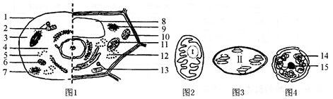 中学教师招聘,历年真题,2016年教师招聘考试《中学生物》真题精选2