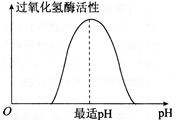 中学教师招聘,章节练习,学科真题0